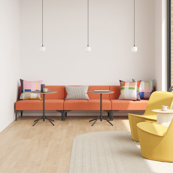 PIPPIN__0002_NOPIP10CSH_TUN420ST_KNO550D_SYM2NA_HR