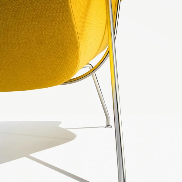 W-KNO_7876_100435203_lemon_d2